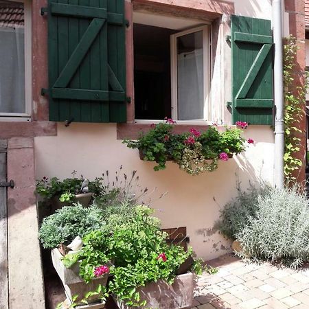 Charmant Petit Appartement En Alsace Bouxwiller  المظهر الخارجي الصورة
