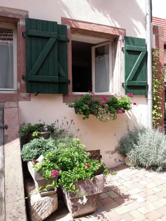 Charmant Petit Appartement En Alsace Bouxwiller  المظهر الخارجي الصورة